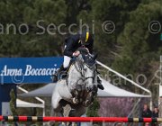 Arioldi R Utile TosTour 2013- S5 7166 : Arezzo Equestrian Centre, Arioldi Roberto, Toscana Tour 2013, Utile, foto di Stefano Secchi ©